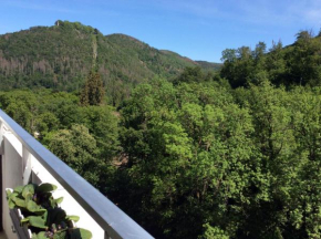 Relax im Wald Bad Harzburg